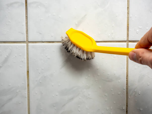 Best Toxic Mold Removal  in Trafford, PA