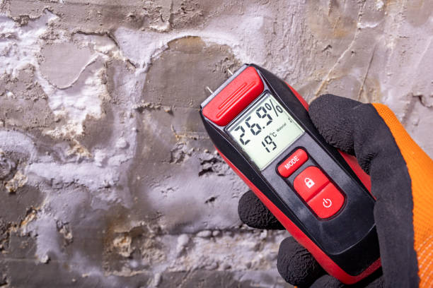 Best Office Mold Removal Services  in Trafford, PA
