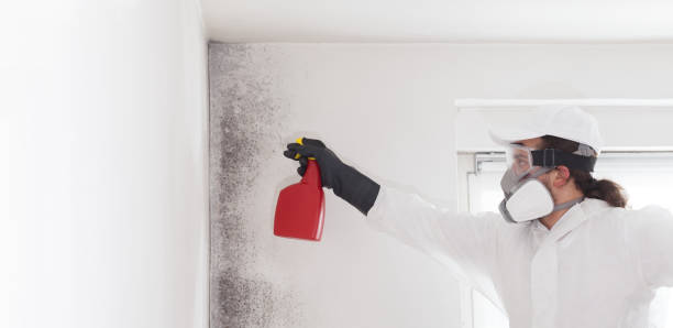 Water Damage Restoration in Trafford, PA